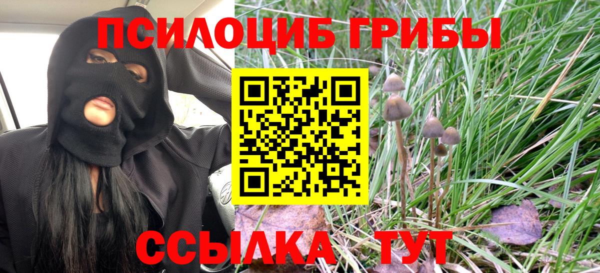 Первоуральск  Галлюциногенные грибы Cubensis  Псилоцибиновые грибы прущие грибы  Вход с VPN 